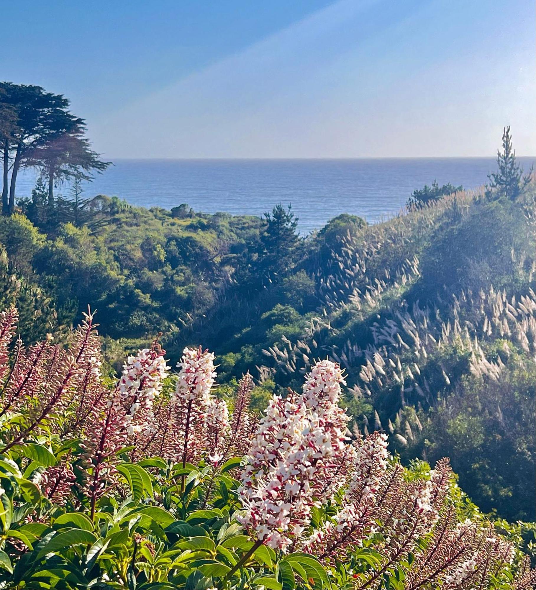 Royal Villa - Ocean View - Heated Pools - Seascape'S Best 1 Bedroom - 3 Beds - End Unit Aptos Eksteriør bilde